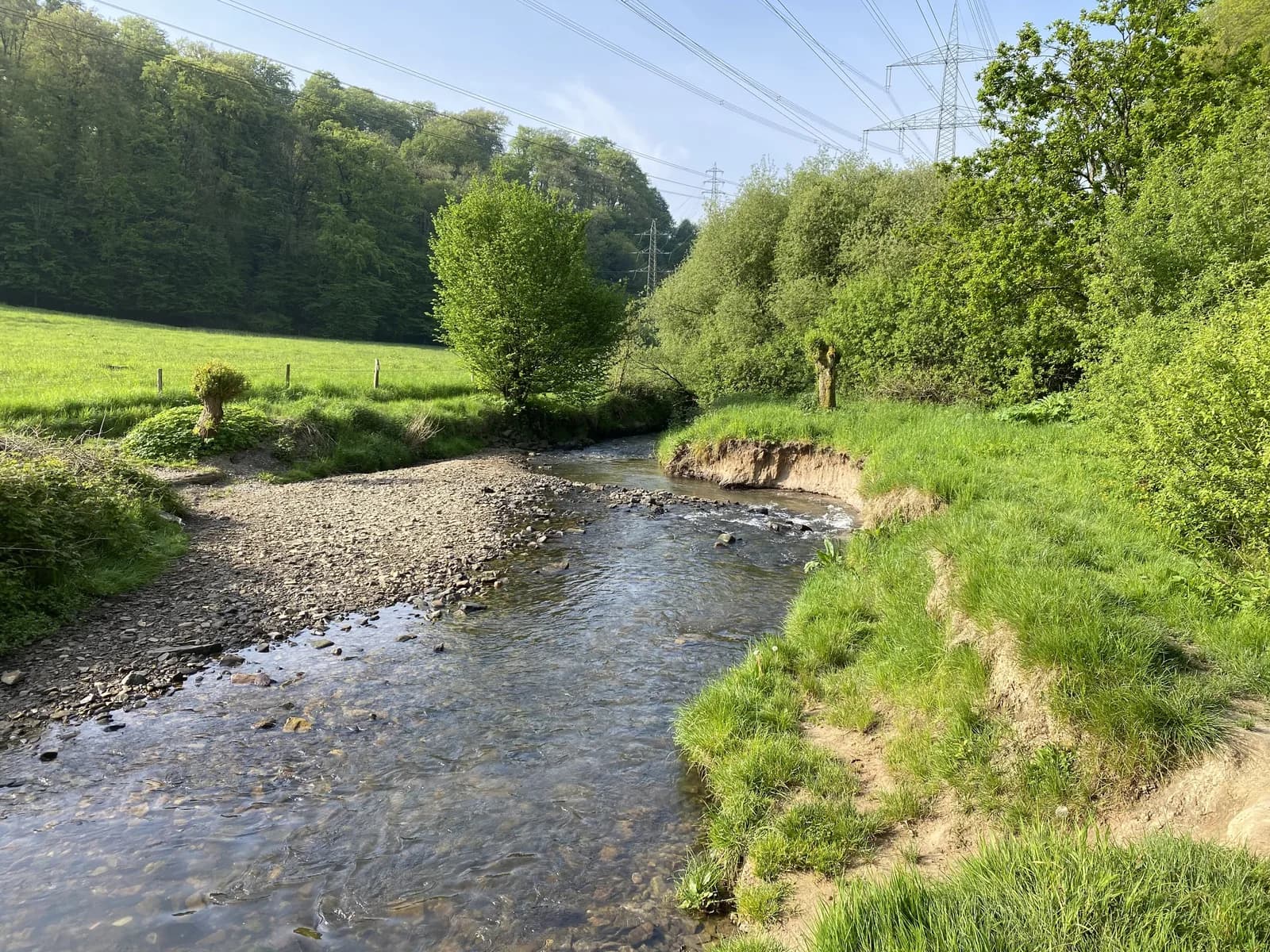 Die Itter im Naturschutzgebiet Ittertal in Haan